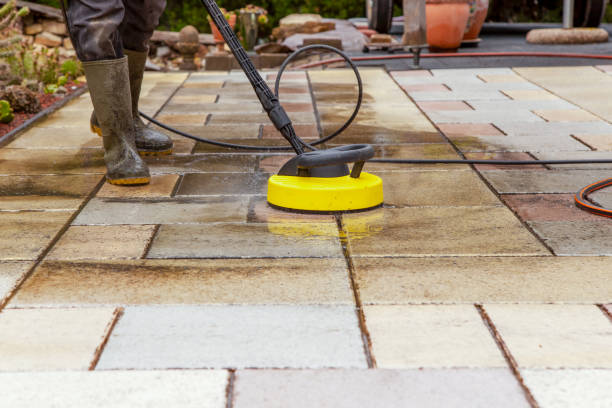 Best Roof Washing  in Danvers, IL
