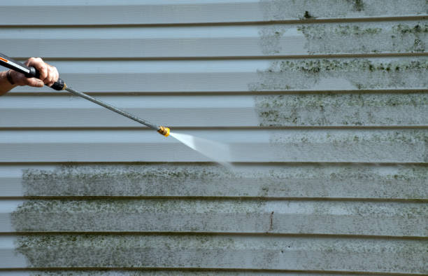 Best Warehouse Cleaning  in Danvers, IL