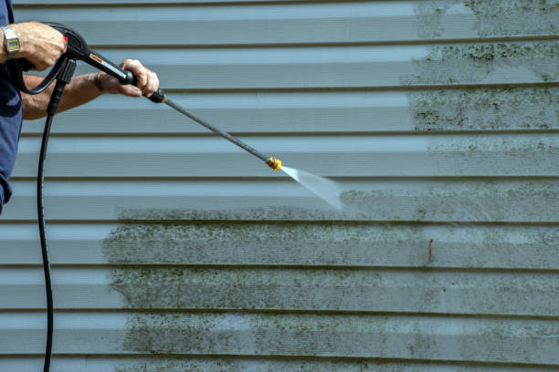 Boat and Dock Cleaning in Danvers, IL