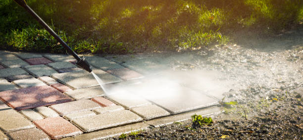 Best Rust Removal  in Danvers, IL