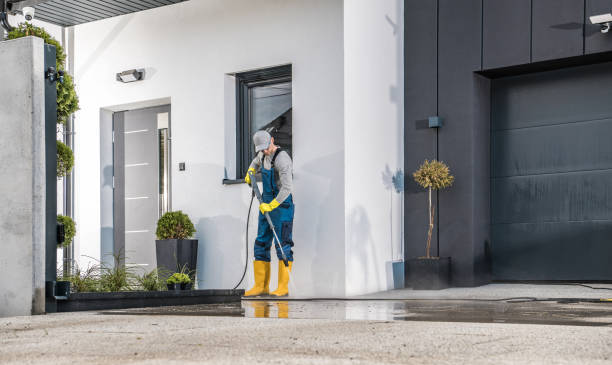 Best House Exterior Washing  in Danvers, IL